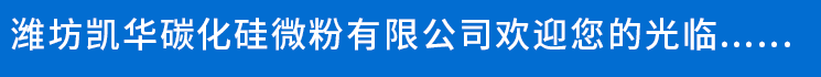 公司簡介